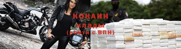 шишки Дмитровск