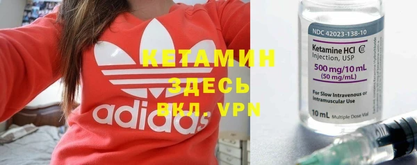 шишки Дмитровск