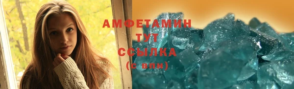 шишки Дмитровск