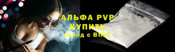 шишки Дмитровск