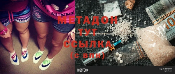 шишки Дмитровск
