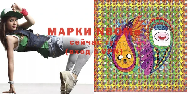 шишки Дмитровск